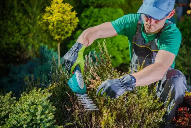 landscaping services Pitkin